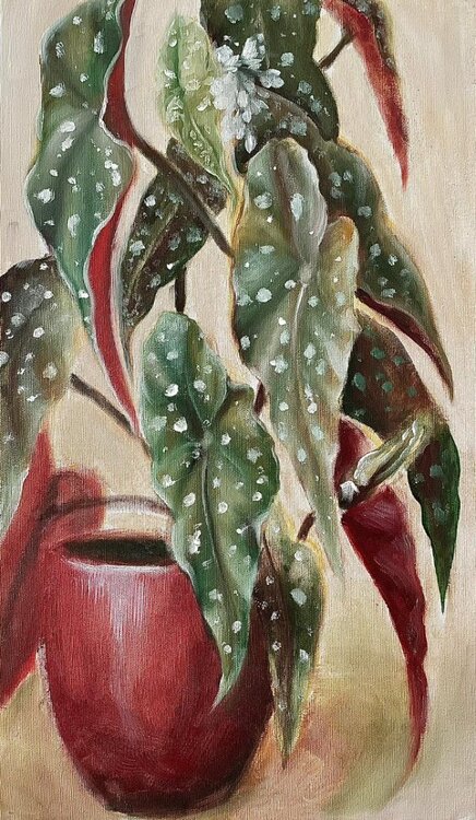 WhatsApp Image 2024-03-23 at 00.36.47.jpeg